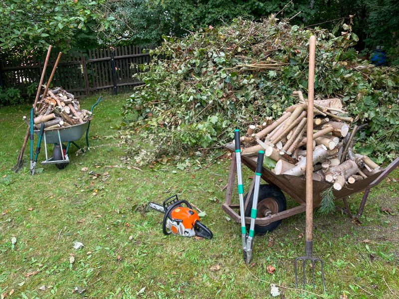Removing Debris from Yard