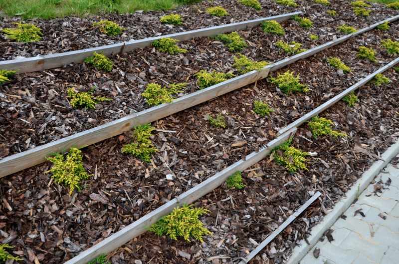 Landscaped Area with Rubber Mulch